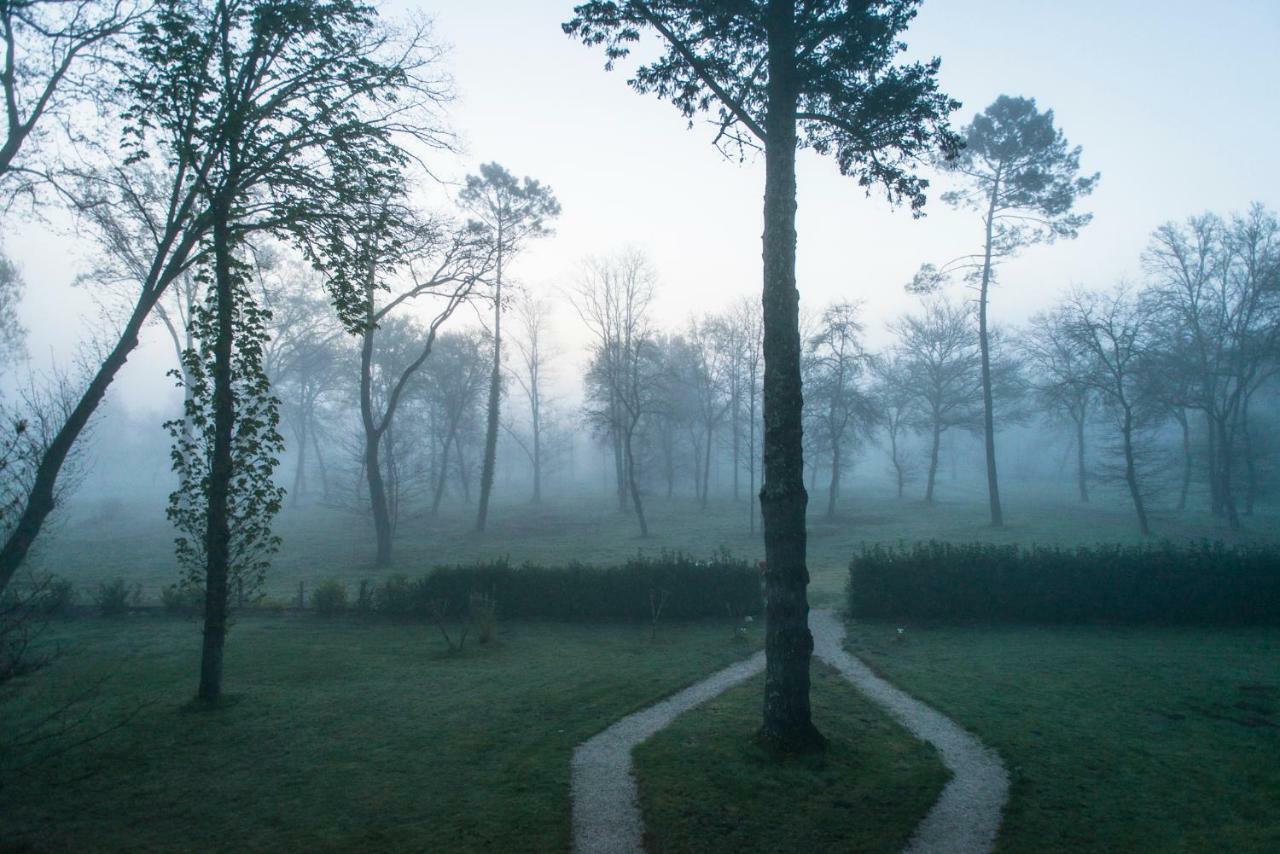 Les Chambres D'Hotes Du Domaine De Lugazaut Vielle-Soubiran Buitenkant foto
